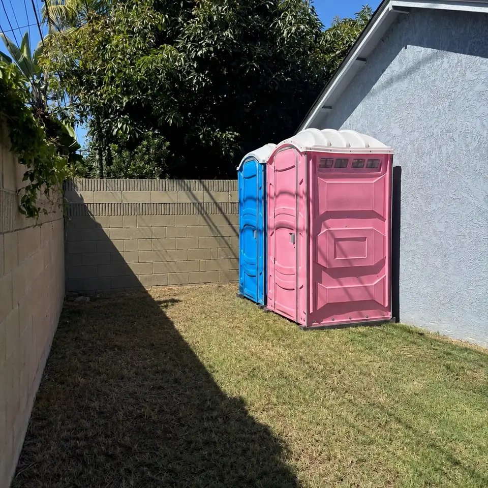 Pink and blue porta potties placed side by side in a fenced backyard